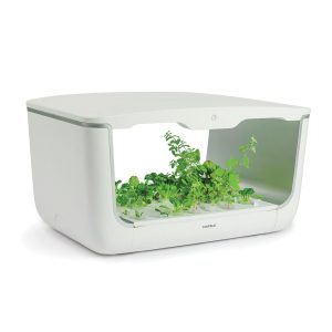Hộp trồng cây EasyGrow Home Box (H-box) 539.76.990