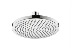 Sen đầu Croma 160 MS: 589.29.598