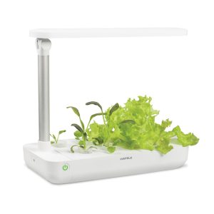 Hộp trồng cây EasyGrow Table Box (T-Box) 539.76.980